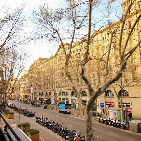 Paraiso Barselona